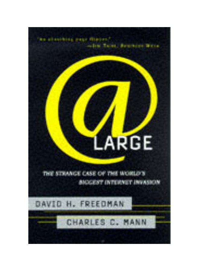 At Large: The Strange Case of the World's Biggest Internet Invasion paperback english 