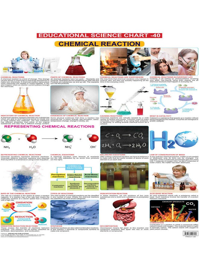 Chemical Reactions paperback english - 40357.0