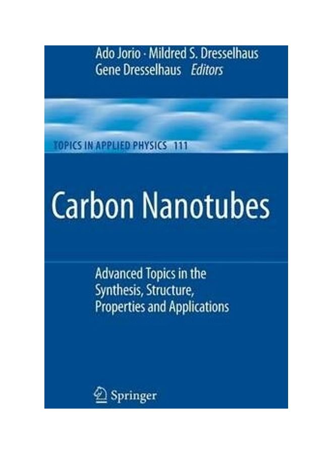 Carbon Nanotubes Hardcover English by Ado Jorio 