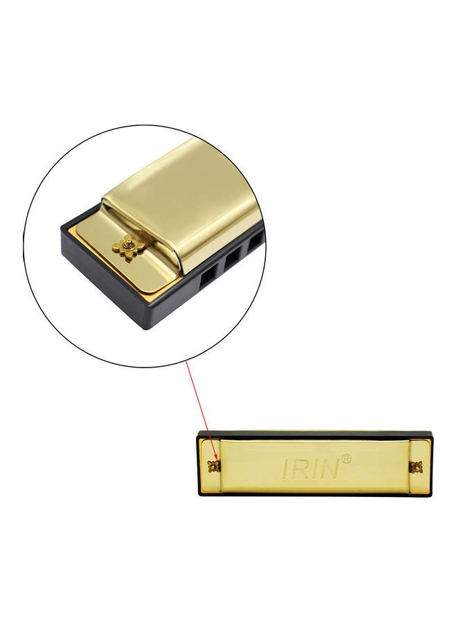 IRIN 10-Hole 20 Tone Diatonic Blues Harmonica with Case - Image 2