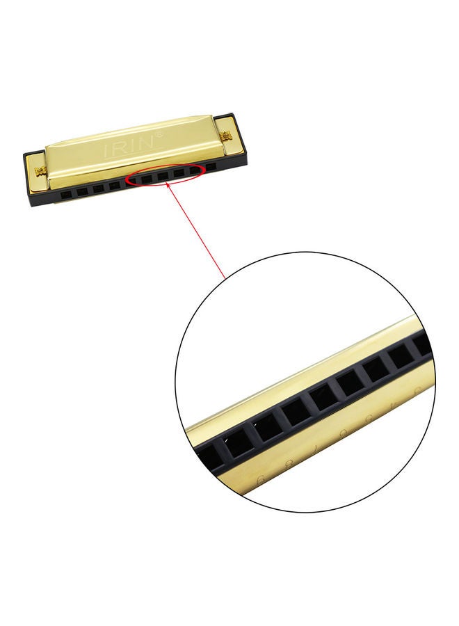 IRIN 10-Hole 20 Tone Diatonic Blues Harmonica with Case - Image 3