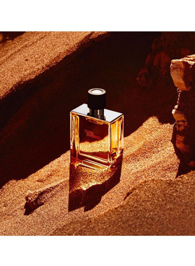 HERMES - Terre D'Hermes Parfum 75ml - Image 1