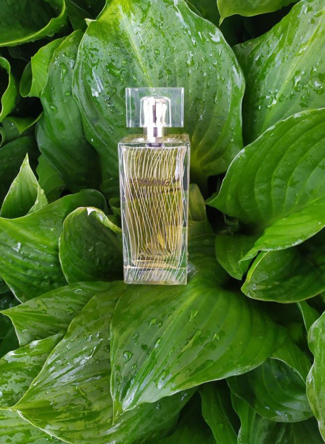 LALIQUE Nilang EDP 100ml  - Image 5