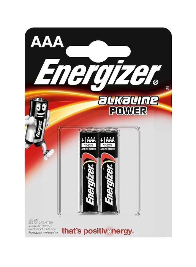 Pack Of 2 Alkaline Power Batteries Black/Silver/Red - v1621860702/N21319288A_1