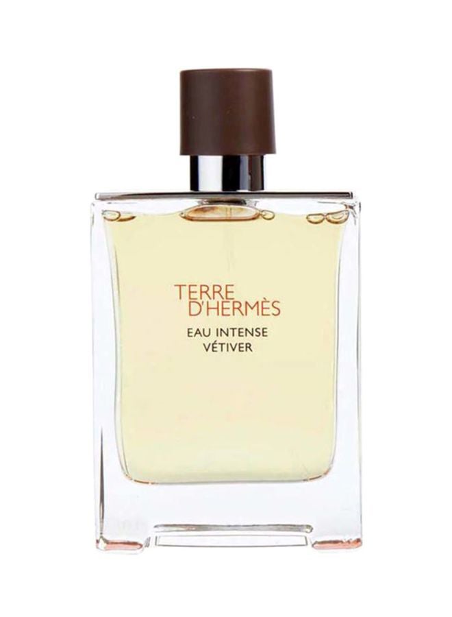 Terre D´Hermes Eau Intense Vétiver EDP 100ml - v1621861295/N20179471A_1