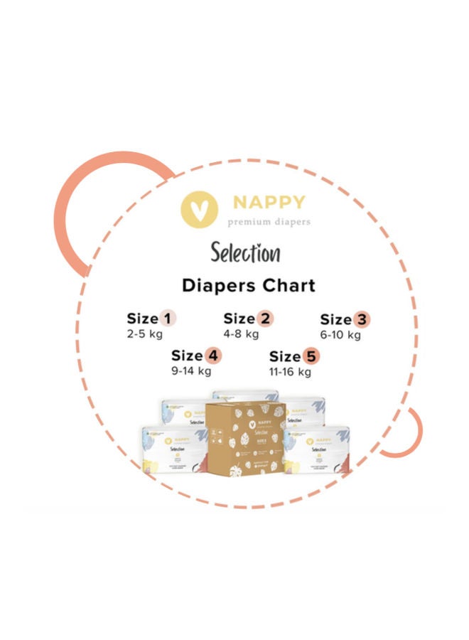 NAPPY Selection - Premium Diapers, Size 2, 4-8 Kg, 20 Diaper - Image 1