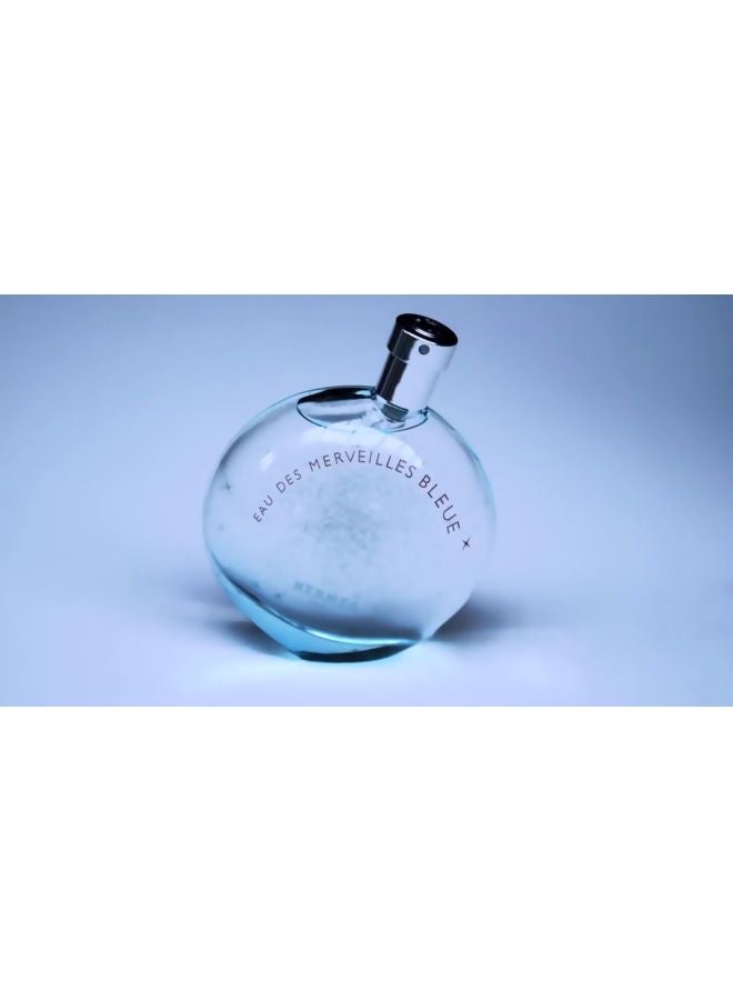 HERMES - Eau Des Merveilles Bleue EDT 100ml - Image 1