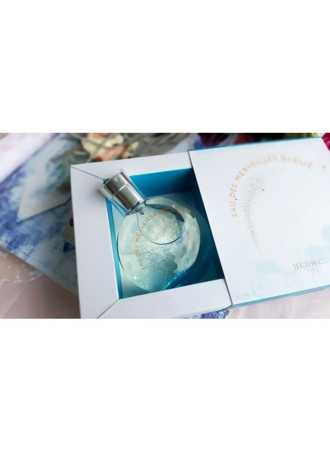 HERMES - Eau Des Merveilles Bleue EDT 100ml - Image 1