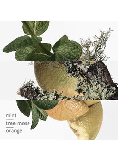 HERMES Eau D'Orange Verte EDC 100ml  - Image 5