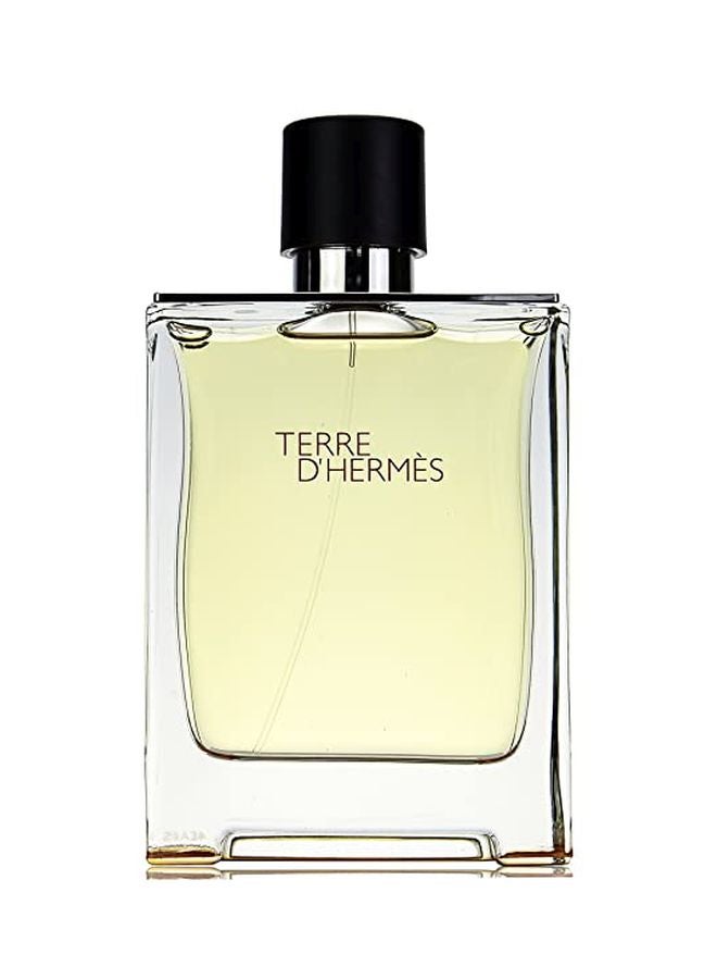 HERMES Terre D'Hermes EDT 100ml  - Image 1
