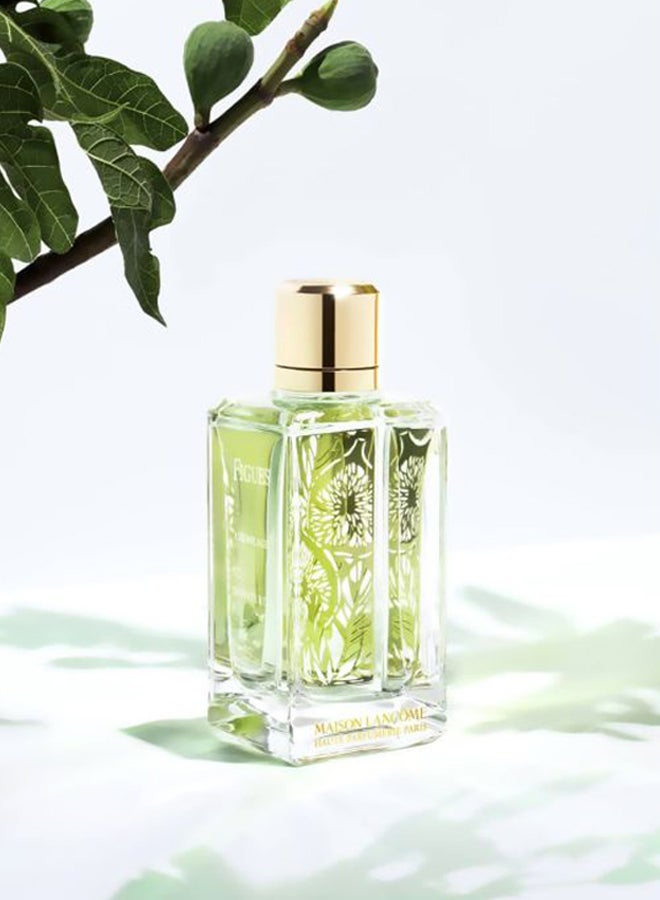 لانكوم عطر ميسون فيغيز أند أغرومز EDP 100ملليلتر  - Image 5