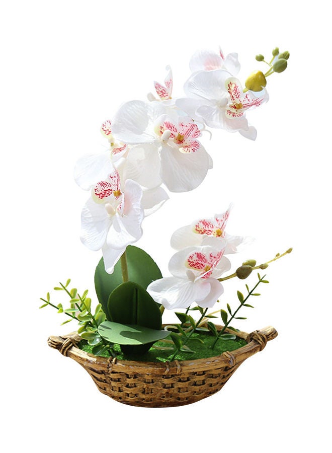 Generic Butterfly Orchid Artificial Flower With Pot White/Brown/Green 