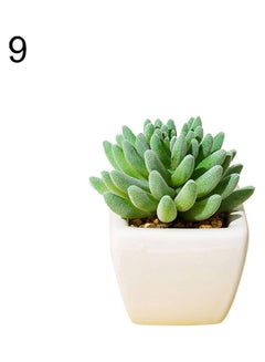 Generic Artificial Succulent Plant With Pot Green/White 