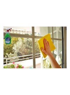 Dolphin Multi-Functional Green Apple Glass Cleaner  - Image 4