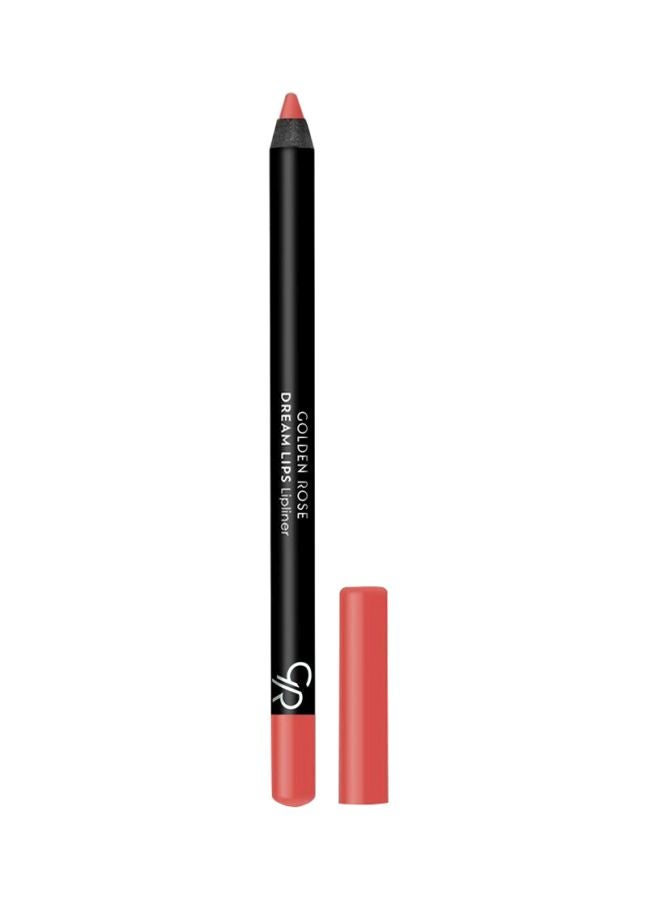 Golden Rose Dream Lips Lip Liner 523 Brown - Image 1