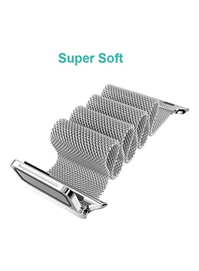 ICS Replacement Band For Apple Watch Series SE/6/5/4/3/2/1 42/44 mm Silver - Image 2