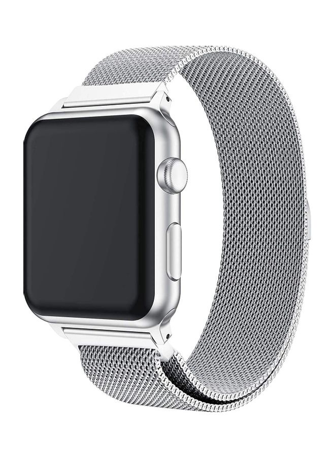 ICS Replacement Band For Apple Watch Series SE/6/5/4/3/2/1 42/44 mm Silver - Image 1