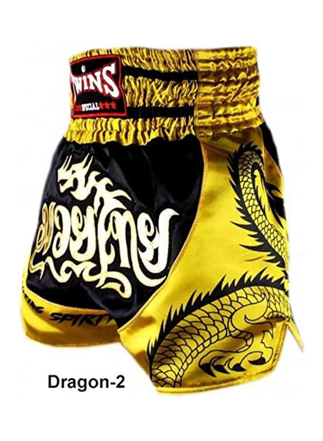 TWINS Thai Boxing Shorts - Image 3