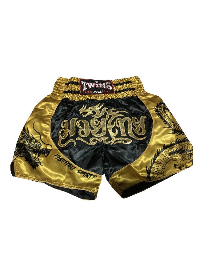 TWINS Boxing Shorts XXL - Image 1