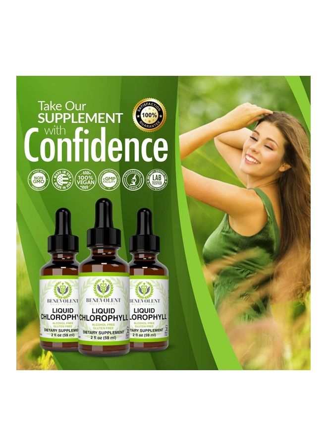 BENEVOLENT NOURISHMENT - Organic Liquid Chlorophyll 2 ounce - Image 1
