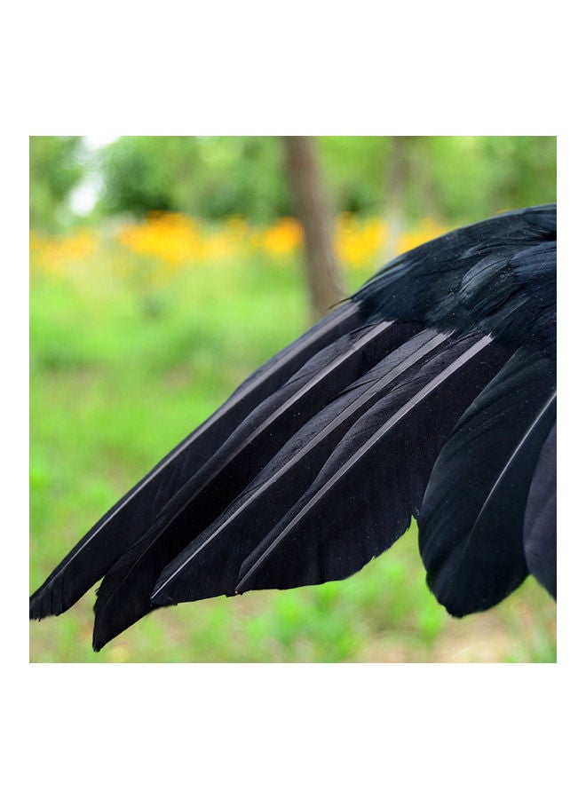 Generic - Simulation Artificial Feathered Crow Bird Ornament - Image 1