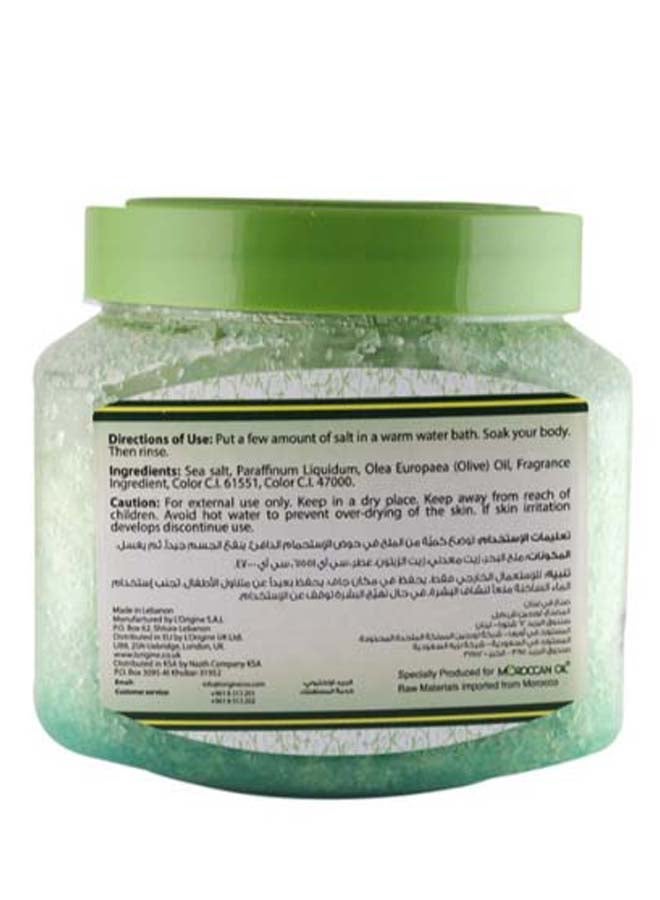 Moroccan Oil Sea Salt With Olive Oil 600ml - Image 2