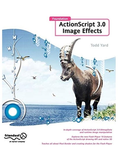 Foundation ActionScript 3.0 Image Effects paperback english