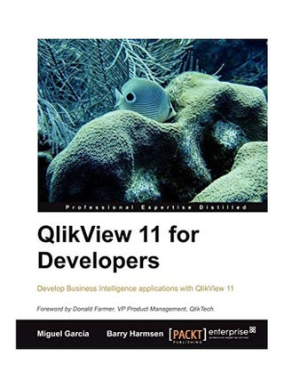 QlikView 11 Developer's Guide paperback english - v1622433715/N47811688A_1