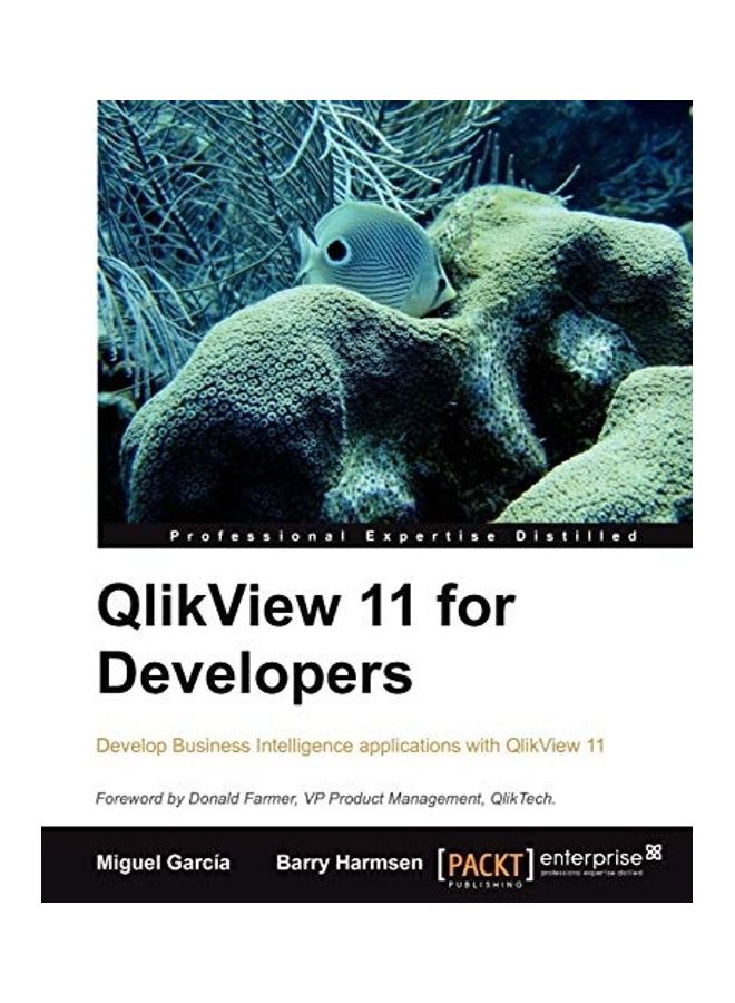 QlikView 11 Developer's Guide paperback english