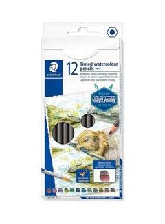 Cardboard Box With 12 Tinted Watercolor Pencils In Assorted Colors Multicolour