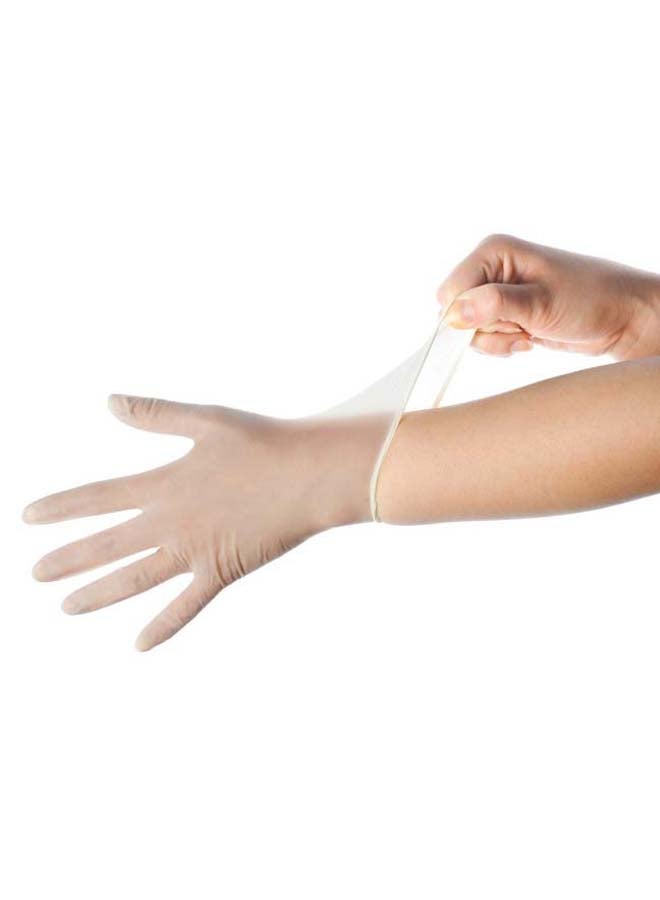 Generic - Vinyl Powder Free Gloves - Image 1