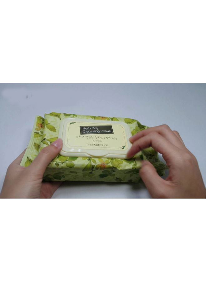 THE FACE SHOP 70-Piece Herb Day Cleansing Tissue Green - Image 3