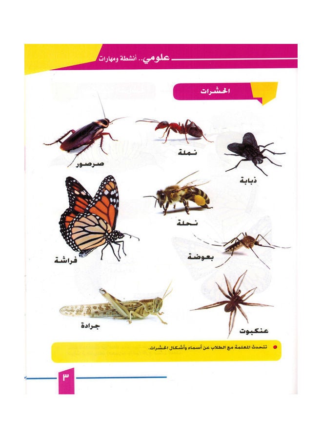 Science - Activities and Skills - Level 3 Paperback Arabic by samah mahmud - Image 2
