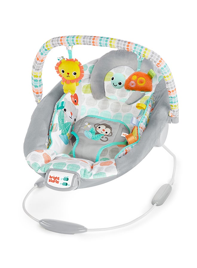 برايت ستارتس أرجوحة ويمزيكال وايلد للأطفال - Image 1