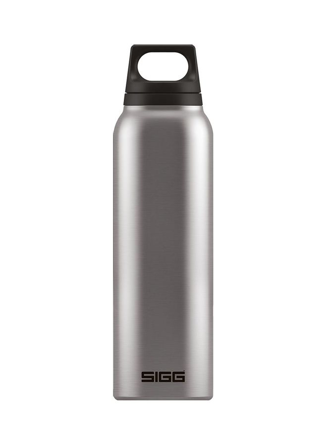 Stainless Steel Hot & Cold Thermo Flask With Tea Filter Brushed - v1622786455/N47972454A_1