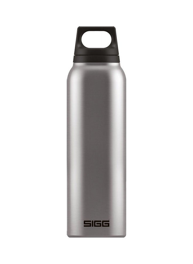 Stainless Steel Hot & Cold Thermo Flask With Tea Filter Brushed - v1622786455/N47972454A_2