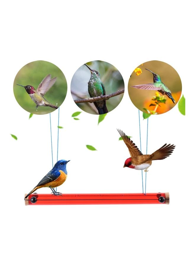 XiuWoo - Hummingbird Hanging Feeder Red/Blue - Image 1
