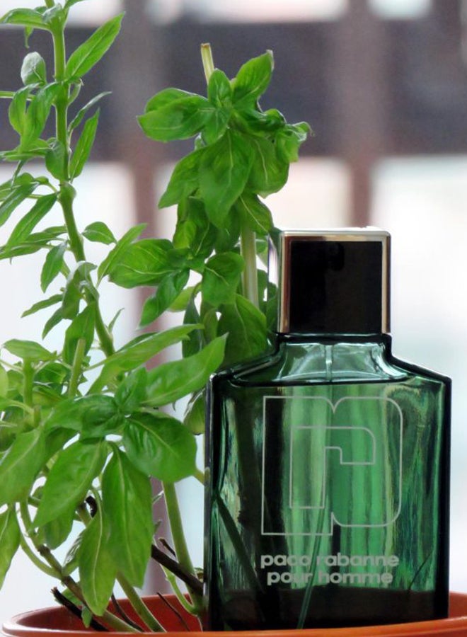 paco rabanne - Pour Homme EDT 100ml - Image 1