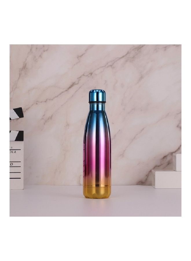 Stainless Steel Double Insulated Water Bottle Multicolour 
