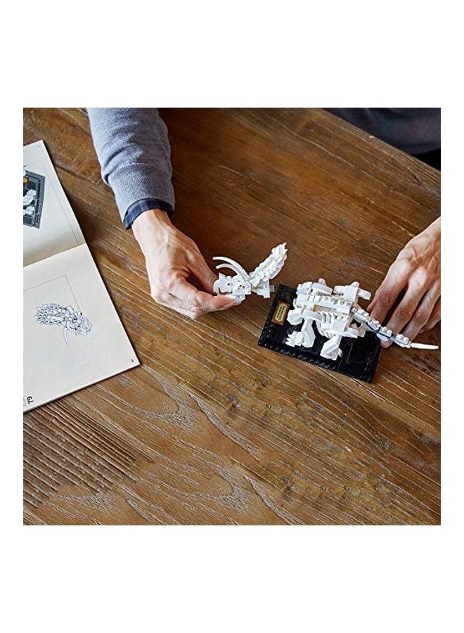 ليغو لعبة بناء حفريات ديناصورات، من مجموعة آيدياز، من 910 قطع 21320 910 16 سنة فأكثر - Image 5