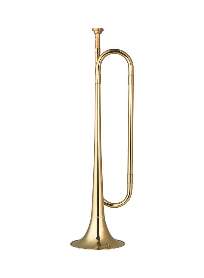 ammoon Plated Trumpet Musical Instrument  - Image 1