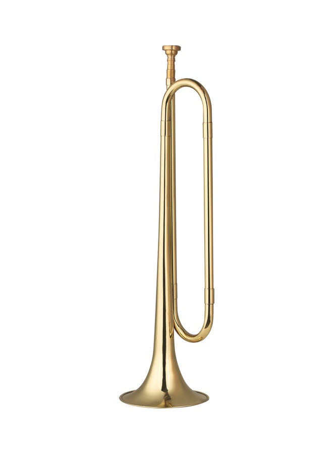 ammoon Plated Trumpet Musical Instrument  - Image 3