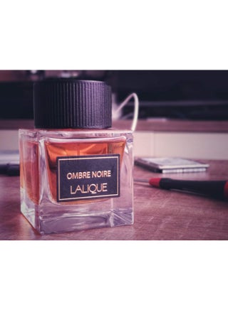 LALIQUE Ombre Noire EDP 100ml Best Price UAE Dubai, Abu Dhabi