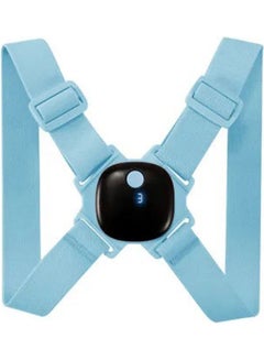 Back Orthosis Splint Support
