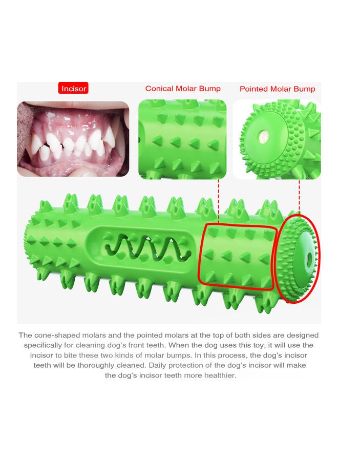 لعبة مضغ للكلاب تصدر صوت صرير أخضر - Image 4