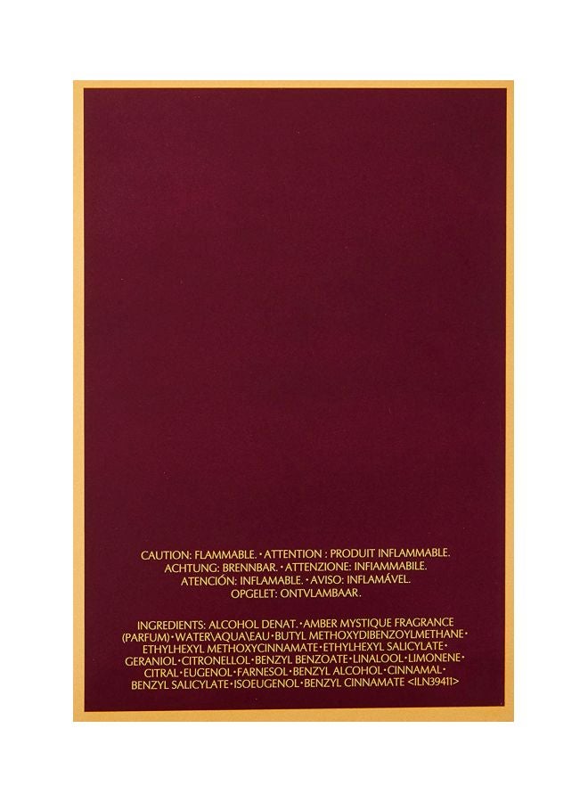 استي لودر - عطر أمبر ميستيك 100ملليلتر - Image 1
