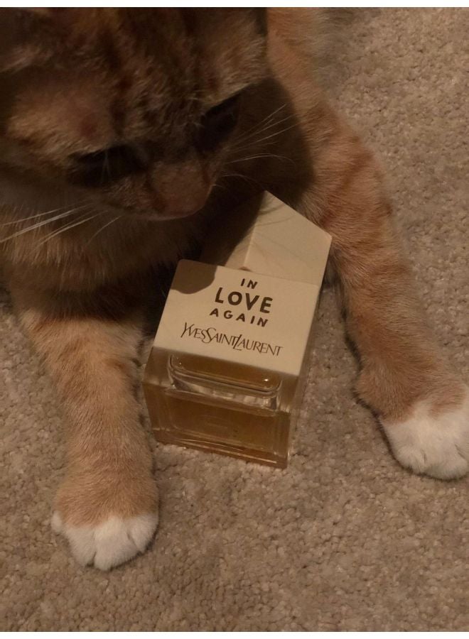 YSL Libre In Love Again EDT 80ml  - Image 5