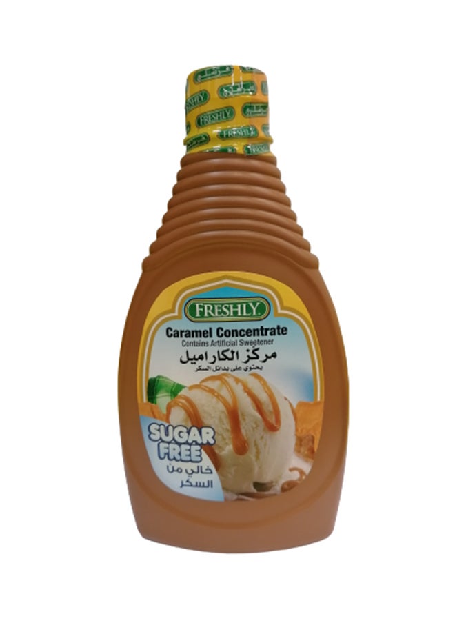 فريشلي - Sugar Free Caramel Concentrate Syrup 18ounce - Image 1