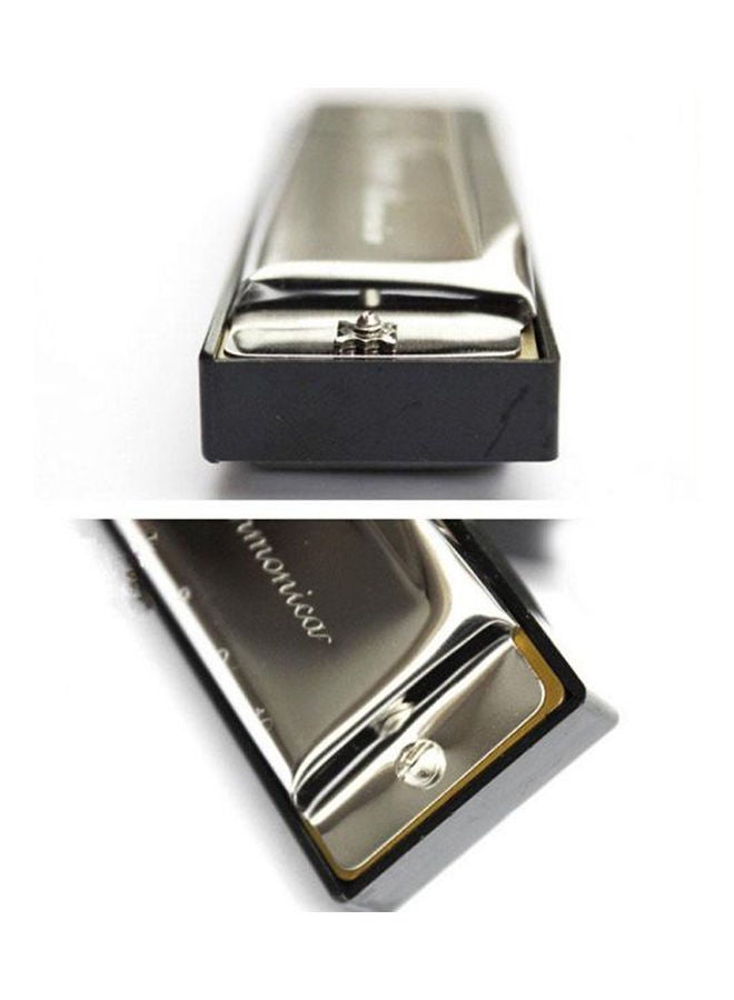 Swan 10 Hole Harmonica Key Of C Blues - Image 3