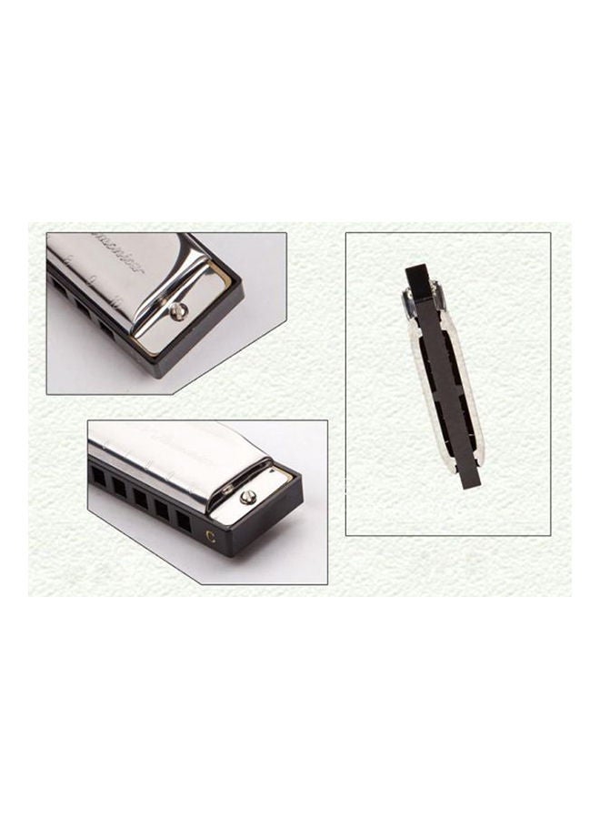 Swan Harmonica 10 Holes Key - Image 3